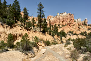 USA Bryce Canyon<br>NIKON D200, 20 mm, 100 ISO,  1/350 sec,  f : 8 